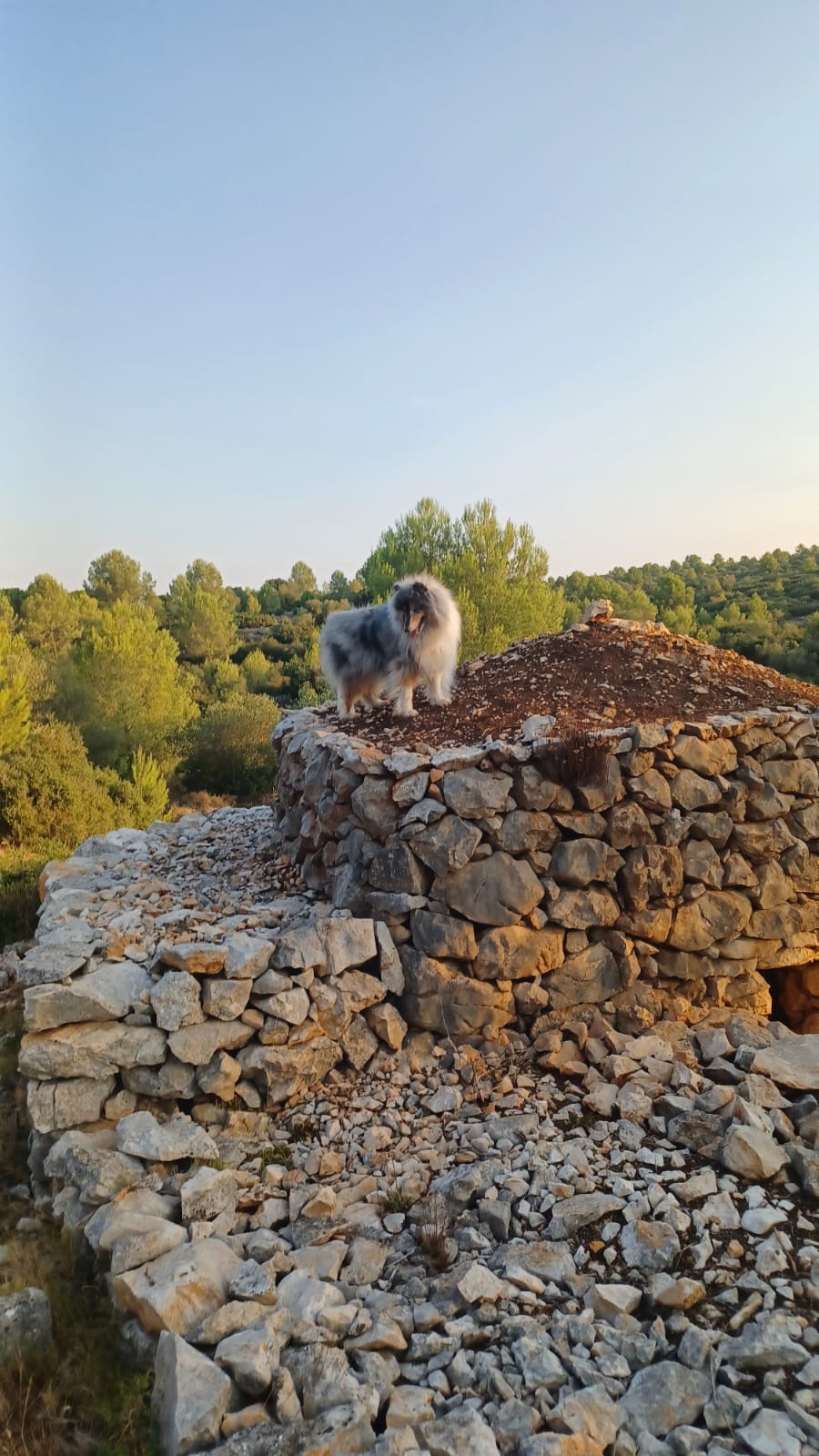 Barraca de pedra seca