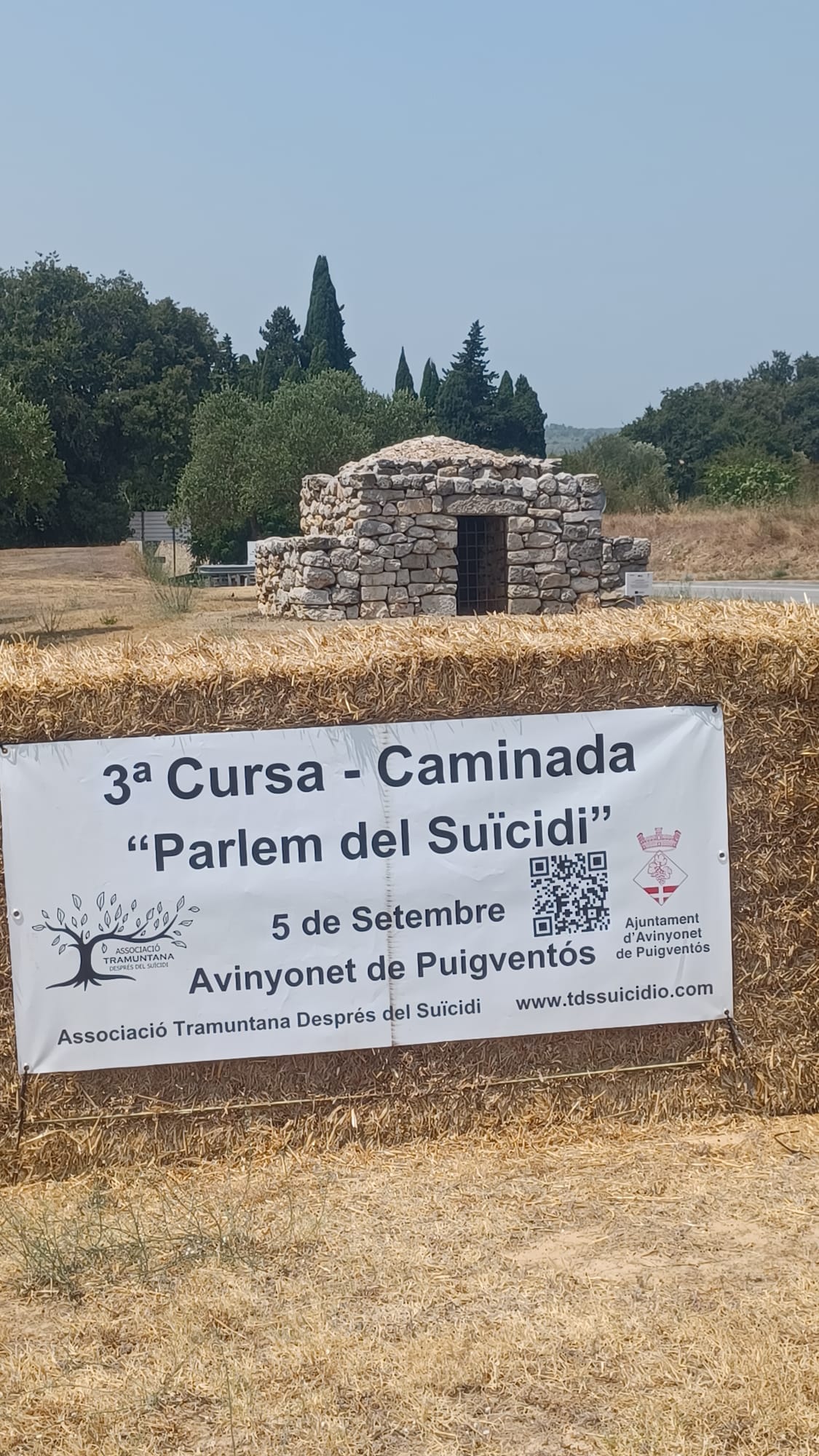 Cartell de la Cursa a Avinyonet de Puigventós